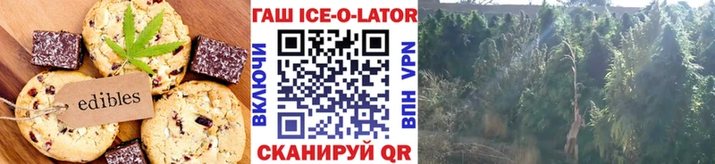 что такое наркотик  Кумертау  Еда ТГК марихуана 