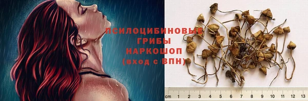 стафф Абинск