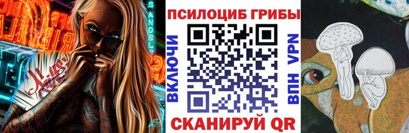Галлюциногенные грибы Psilocybe  Кумертау 