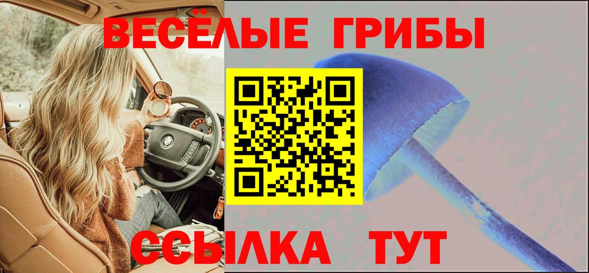 Галлюциногенные грибы мицелий Кумертау